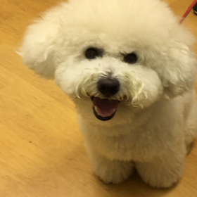 どこをそんなに気に入った？の画像