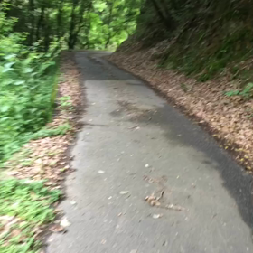 探検動画の画像