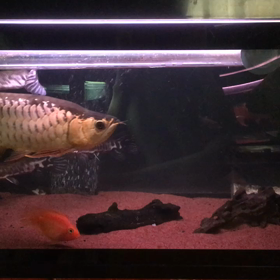 カッコよすぎる！の画像