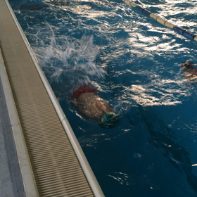 かわいいの画像