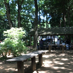 恋活パーティーつくば大人のBBQパーティーの画像