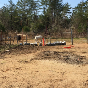 朝から忙しくってよ！の画像