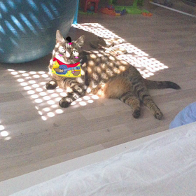 マルシェのムカつくジジイの画像