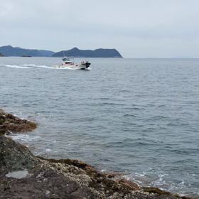 エライ目にあったの画像