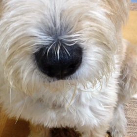 ズルいぞ！！の画像