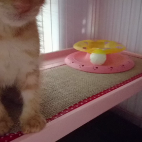 ナルトくんへの画像