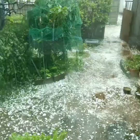 ひょうで盛り上がる笑笑の画像