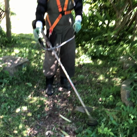 とある真夏の所感の画像