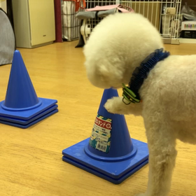 ソナ編①の画像