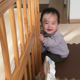 増えてきた。の画像