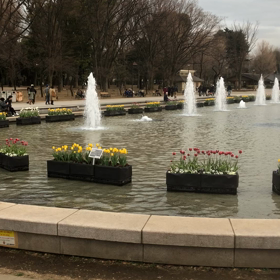 こんにちはの画像