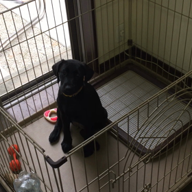 カミカミ期‼️の画像