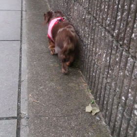 手術後  63日目の画像