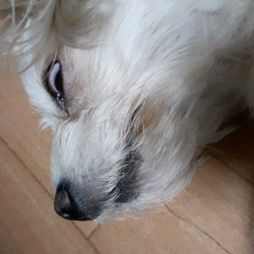 怖い(￣□￣;)!!の画像