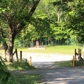 5/21 動画でもかっくにーん！の画像