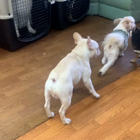 今日の遊び2の画像