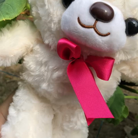 6月19日の気になる、きになるぅ〜の画像