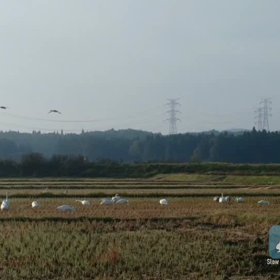 とうとう来ましたか(^^)の画像