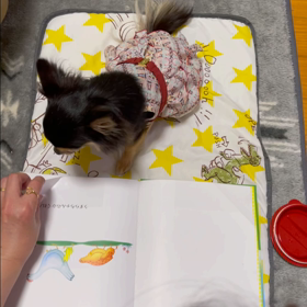 宿題の練習①の画像