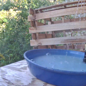 すぎぴたんの事件簿シーズン3　404話（スズメ来襲！　スズメバチ）の画像