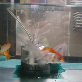 最近の悩みの画像