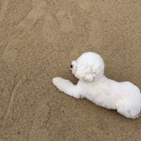 8月22日  お嬢ちゃんにも怖いものがあるの画像