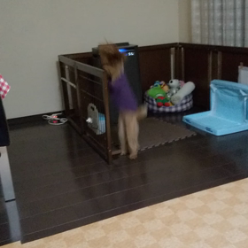 腫瘍マーカーの結果の画像