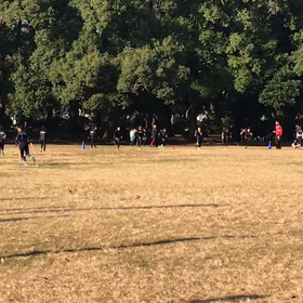 学年別インターバル①の画像