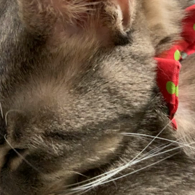 mixi時代を思い出すねの画像