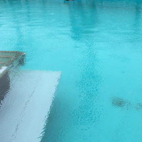 ☆泳ぐわんこ☆の画像