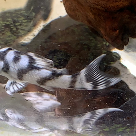 リアルとリアルとリアル‼️の画像