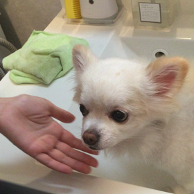 優しいお顔の画像