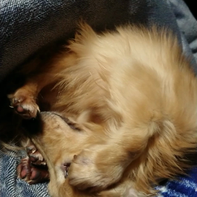 面白い✨の画像