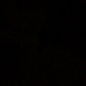 光ってるの画像