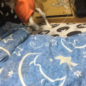 何回出た？ギネス目指しますの画像