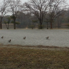 キャラ変失敗。の画像