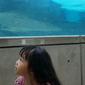 ”行動する人が成功する、なんて言うけどさ”の画像