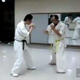 芦原空手の特徴？の画像