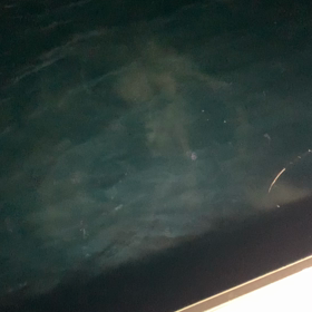 今日もいる！の画像