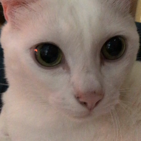 久しぶりの月命日の画像