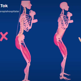 骨格で見るトレーニングの画像