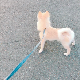 お寺の鐘の画像