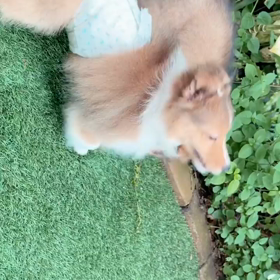 20210610 Win IGSの画像