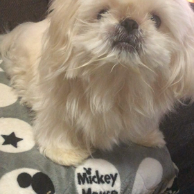 おはよーの画像