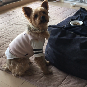 cleo…順番が違う…の画像