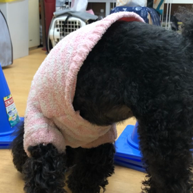 プリン編。の画像