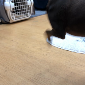 落ち着けって。の画像