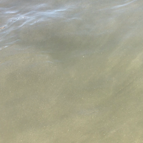 ２０１７夏の画像