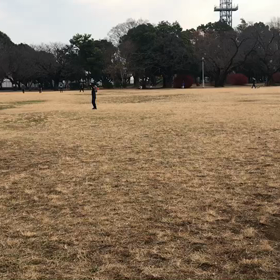 ジャベリックボール投げ④の画像