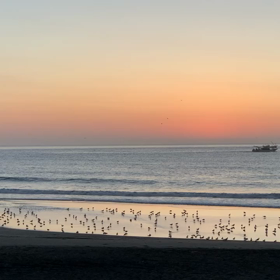 8月12日千葉北、東浪見の朝の波の画像
